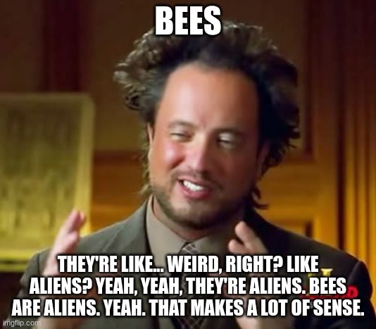 Ancient Bees | BEES; THEY'RE LIKE... WEIRD, RIGHT? LIKE ALIENS? YEAH, YEAH, THEY'RE ALIENS. BEES ARE ALIENS. YEAH. THAT MAKES A LOT OF SENSE. | image tagged in memes,ancient aliens,bees | made w/ Imgflip meme maker