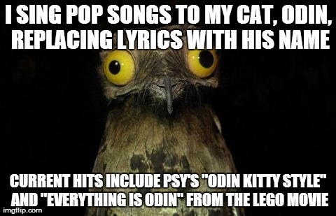 Weird Stuff I Do Potoo | I SING POP SONGS TO MY CAT, ODIN, REPLACING LYRICS WITH HIS NAME CURRENT HITS INCLUDE PSY'S "ODIN KITTY STYLE" AND "EVERYTHING IS ODIN" FROM | image tagged in memes,weird stuff i do potoo | made w/ Imgflip meme maker