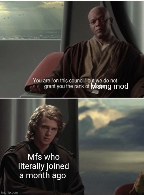Jedi council rank | Msmg mod; Mfs who literally joined a month ago | image tagged in jedi council rank | made w/ Imgflip meme maker