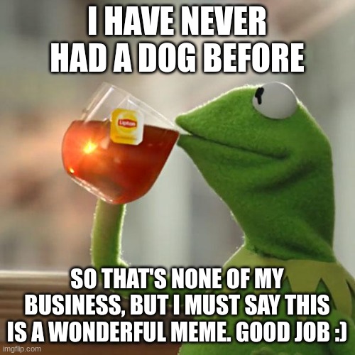 But That's None Of My Business Meme | I HAVE NEVER HAD A DOG BEFORE SO THAT'S NONE OF MY BUSINESS, BUT I MUST SAY THIS IS A WONDERFUL MEME. GOOD JOB :) | image tagged in memes,but that's none of my business,kermit the frog | made w/ Imgflip meme maker