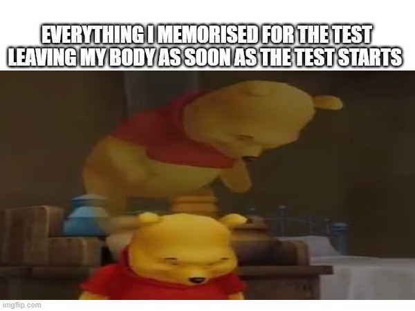 look at the image on the right | EVERYTHING I MEMORISED FOR THE TEST LEAVING MY BODY AS SOON AS THE TEST STARTS | image tagged in idk lol | made w/ Imgflip meme maker
