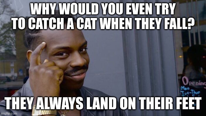 So they say | WHY WOULD YOU EVEN TRY TO CATCH A CAT WHEN THEY FALL? THEY ALWAYS LAND ON THEIR FEET | image tagged in memes,roll safe think about it | made w/ Imgflip meme maker