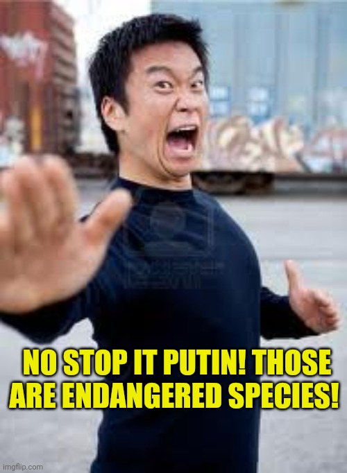 Angry Asian Meme | NO STOP IT PUTIN! THOSE ARE ENDANGERED SPECIES! | image tagged in memes,angry asian | made w/ Imgflip meme maker