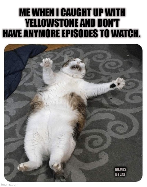 For Real | ME WHEN I CAUGHT UP WITH YELLOWSTONE AND DON'T HAVE ANYMORE EPISODES TO WATCH. MEMES BY JAY | image tagged in yellowstone,tv shows | made w/ Imgflip meme maker
