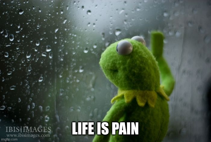 kermit window | LIFE IS PAIN | image tagged in kermit window | made w/ Imgflip meme maker
