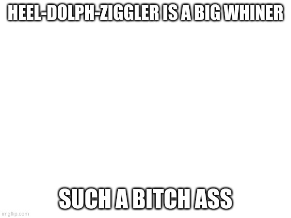 He's a whiner | HEEL-DOLPH-ZIGGLER IS A BIG WHINER; SUCH A BITCH ASS | image tagged in meme | made w/ Imgflip meme maker