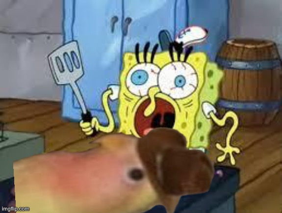 What tf he doing there | made w/ Imgflip meme maker