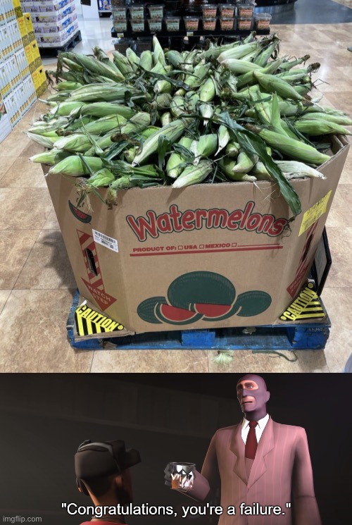 You think this is Watermelons?! | image tagged in congratulations you're a failure,you had one job,failure,memes,watermelon,design fails | made w/ Imgflip meme maker