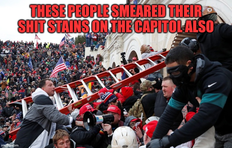 Qanon - Insurrection - Trump riot - sedition | THESE PEOPLE SMEARED THEIR SHIT STAINS ON THE CAPITOL ALSO | image tagged in qanon - insurrection - trump riot - sedition | made w/ Imgflip meme maker