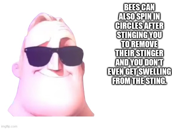 BEES CAN ALSO SPIN IN CIRCLES AFTER STINGING YOU TO REMOVE THEIR STINGER AND YOU DON'T EVEN GET SWELLING FROM THE STING. | made w/ Imgflip meme maker
