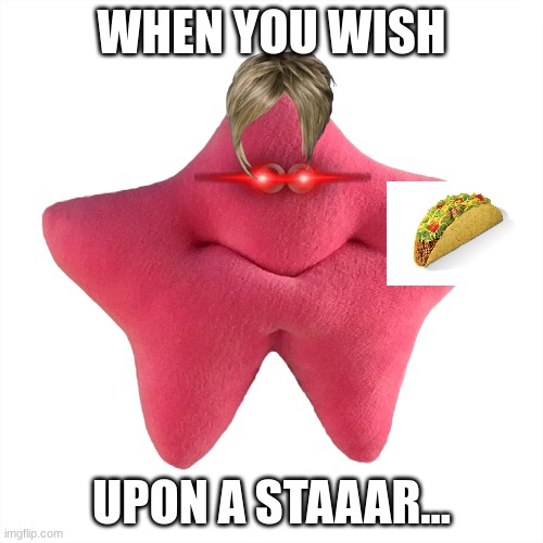 staaar | WHEN YOU WISH; UPON A STAAAR... | image tagged in funny | made w/ Imgflip meme maker