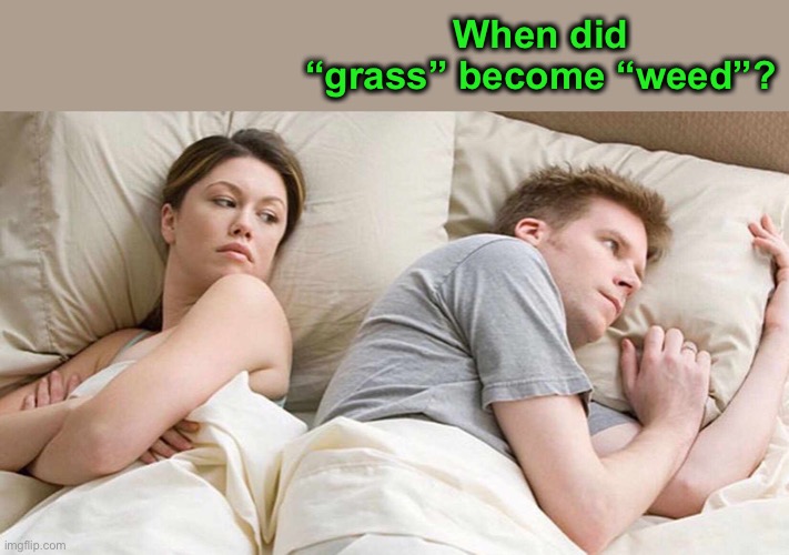 I Bet He's Thinking About Other Women Meme | When did “grass” become “weed”? | image tagged in memes,i bet he's thinking about other women | made w/ Imgflip meme maker