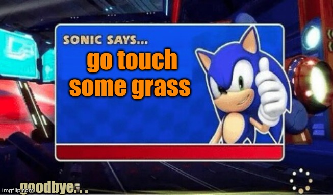Touch some grass NOW | go touch some grass; goodbye. . . | image tagged in sonic says | made w/ Imgflip meme maker