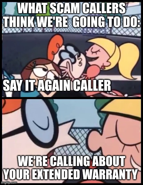 i hate this | WHAT SCAM CALLERS THINK WE'RE  GOING TO DO:; SAY IT AGAIN CALLER; WE'RE CALLING ABOUT YOUR EXTENDED WARRANTY | image tagged in memes,say it again dexter | made w/ Imgflip meme maker