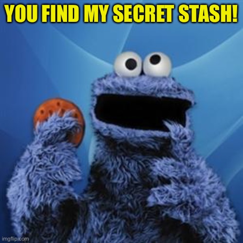 cookie monster | YOU FIND MY SECRET STASH! | image tagged in cookie monster | made w/ Imgflip meme maker