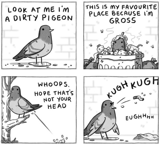 Pigeon | image tagged in pigeons,pigeon,comics,comic,comics/cartoons,dirty | made w/ Imgflip meme maker