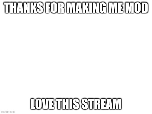 THANKS FOR MAKING ME MOD; LOVE THIS STREAM | made w/ Imgflip meme maker