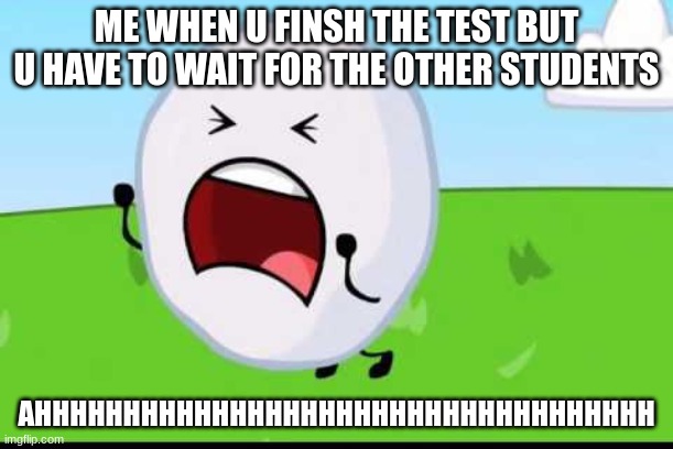 SCHOOLS TESTS | ME WHEN U FINSH THE TEST BUT U HAVE TO WAIT FOR THE OTHER STUDENTS; AHHHHHHHHHHHHHHHHHHHHHHHHHHHHHHHHHHH | image tagged in bfdi snowball nooooo | made w/ Imgflip meme maker