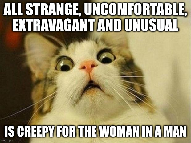 creepy | ALL STRANGE, UNCOMFORTABLE, EXTRAVAGANT AND UNUSUAL; IS CREEPY FOR THE WOMAN IN A MAN | image tagged in memes,scared cat | made w/ Imgflip meme maker