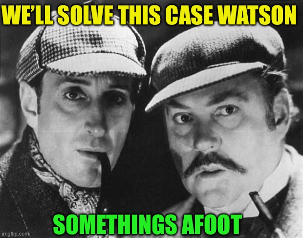 sherlock holmes | WE’LL SOLVE THIS CASE WATSON SOMETHINGS AFOOT | image tagged in sherlock holmes | made w/ Imgflip meme maker