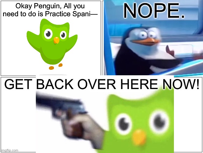 Penguin Skips the Spanish Lesson | NOPE. Okay Penguin, All you need to do is Practice Spani—; GET BACK OVER HERE NOW! | image tagged in duolingo,blank comic panel 2x2,memes,penguins,penguin,comics | made w/ Imgflip meme maker