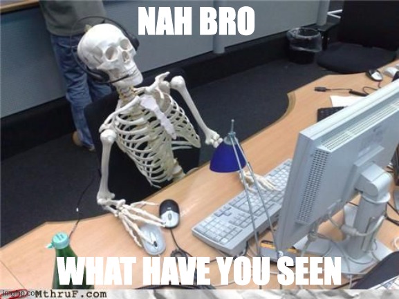 Skeleton Computer | NAH BRO WHAT HAVE YOU SEEN | image tagged in skeleton computer | made w/ Imgflip meme maker