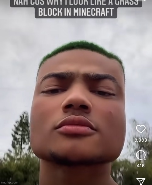 image tagged in memes | made w/ Imgflip meme maker