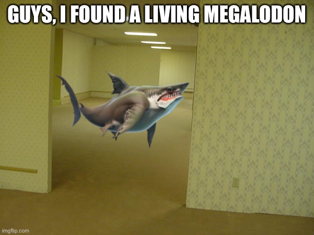 There he is | GUYS, I FOUND A LIVING MEGALODON | image tagged in the backrooms,shark | made w/ Imgflip meme maker