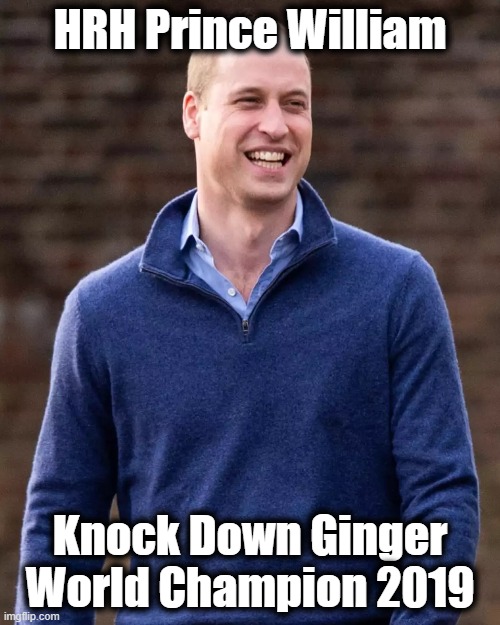 Prince William | HRH Prince William; Knock Down Ginger World Champion 2019 | image tagged in prince william,prince harry,meghan markle,memes,funny memes,lol | made w/ Imgflip meme maker