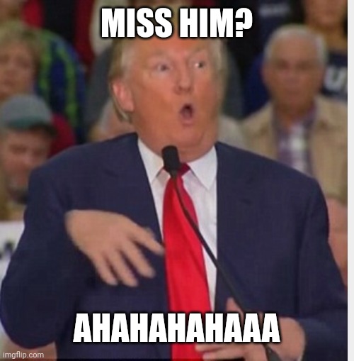 Donald Trump tho | MISS HIM? AHAHAHAHAAA | image tagged in donald trump tho | made w/ Imgflip meme maker