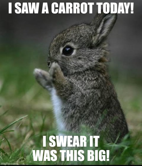 Bunny | I SAW A CARROT TODAY! I SWEAR IT WAS THIS BIG! | image tagged in cute bunny | made w/ Imgflip meme maker