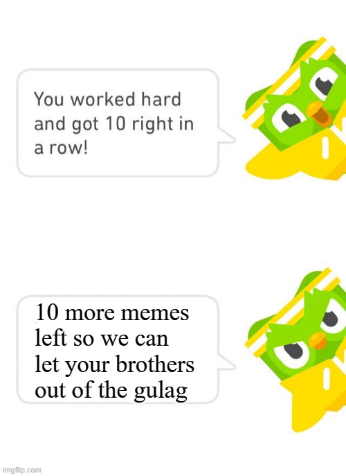 Duolingo 10 in a Row | 10 more memes left so we can let your brothers out of the gulag | image tagged in duolingo 10 in a row | made w/ Imgflip meme maker