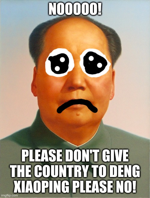 NOOOO PLEASE NOOOOO! |  NOOOOO! PLEASE DON'T GIVE THE COUNTRY TO DENG XIAOPING PLEASE NO! | image tagged in mao zedong,sad,depression sadness hurt pain anxiety,depression,emo,history | made w/ Imgflip meme maker