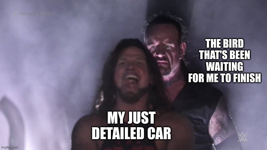 AJ Styles & Undertaker | THE BIRD THAT'S BEEN WAITING FOR ME TO FINISH; MY JUST DETAILED CAR | image tagged in aj styles undertaker | made w/ Imgflip meme maker