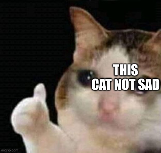 sad thumbs up cat | THIS CAT NOT SAD | image tagged in sad thumbs up cat | made w/ Imgflip meme maker