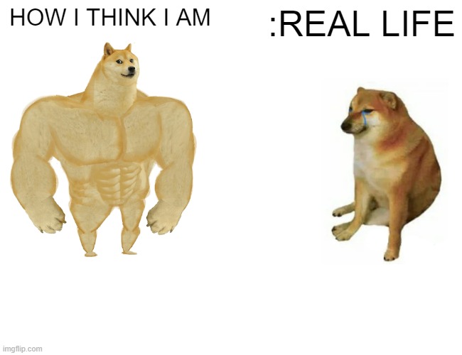 Buff Doge vs. Cheems | HOW I THINK I AM; :REAL LIFE | image tagged in memes,buff doge vs cheems | made w/ Imgflip meme maker
