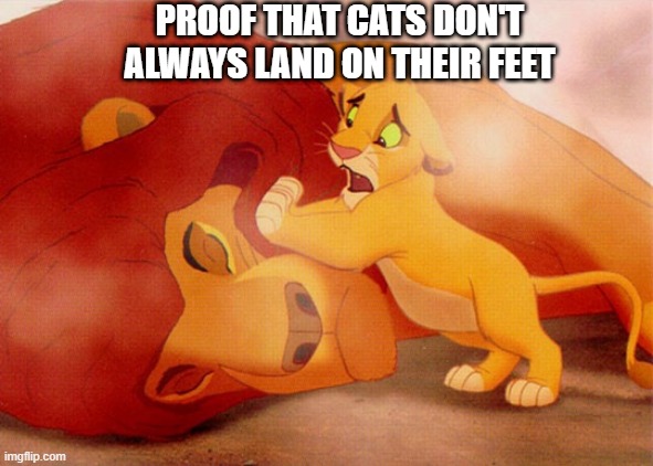 Ruin a Kid in 1 Image | PROOF THAT CATS DON'T ALWAYS LAND ON THEIR FEET | image tagged in mufasa death | made w/ Imgflip meme maker