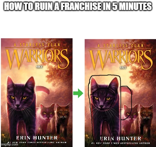 good book and a good game | HOW TO RUIN A FRANCHISE IN 5 MINUTES | image tagged in blank white template | made w/ Imgflip meme maker