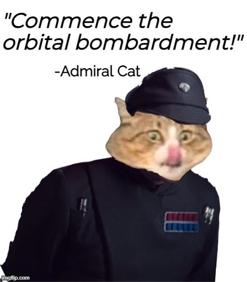 "Commence the orbital bombardment!"; -Admiral Cat | image tagged in blank white template | made w/ Imgflip meme maker