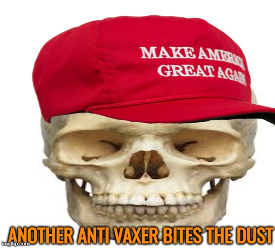 ANOTHER ANTI VAXER BITES THE DUST | made w/ Imgflip meme maker