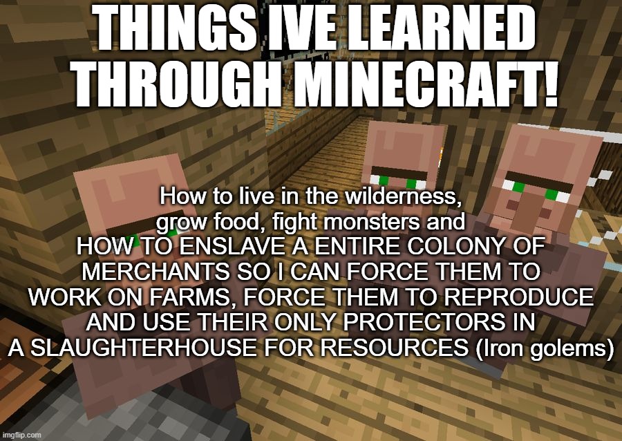 We treat villagers so bad fr | THINGS IVE LEARNED THROUGH MINECRAFT! How to live in the wilderness,
grow food, fight monsters and HOW TO ENSLAVE A ENTIRE COLONY OF MERCHANTS SO I CAN FORCE THEM TO WORK ON FARMS, FORCE THEM TO REPRODUCE AND USE THEIR ONLY PROTECTORS IN A SLAUGHTERHOUSE FOR RESOURCES (Iron golems) | image tagged in minecraft villagers,minecraft | made w/ Imgflip meme maker