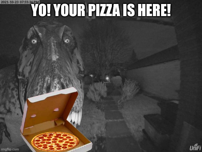 T rex at the door | YO! YOUR PIZZA IS HERE! | image tagged in t rex at the door | made w/ Imgflip meme maker