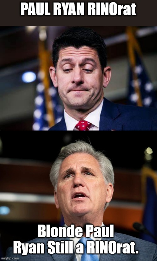 McStain.. McTurtle.. McRyan.. MC Carthy .. McRomney .. MC Shakey Susie.. all the same | PAUL RYAN RINOrat; Blonde Paul Ryan Still a RINOrat. | made w/ Imgflip meme maker