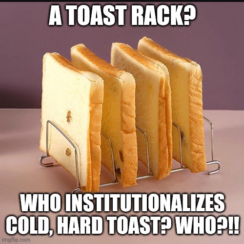 Toast rack | A TOAST RACK? WHO INSTITUTIONALIZES COLD, HARD TOAST? WHO?!! | image tagged in toast,toast rack,british | made w/ Imgflip meme maker