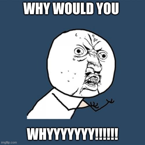 why would you | WHY WOULD YOU; WHYYYYYYY!!!!!! | image tagged in memes,y u no | made w/ Imgflip meme maker