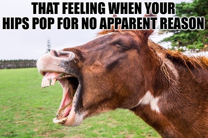 unfunny memes part 1 | THAT FEELING WHEN YOUR HIPS POP FOR NO APPARENT REASON | image tagged in horse,unfunny,animal,horses | made w/ Imgflip meme maker