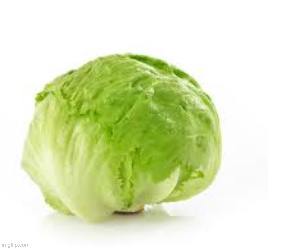 Lettuce | image tagged in lettuce | made w/ Imgflip meme maker