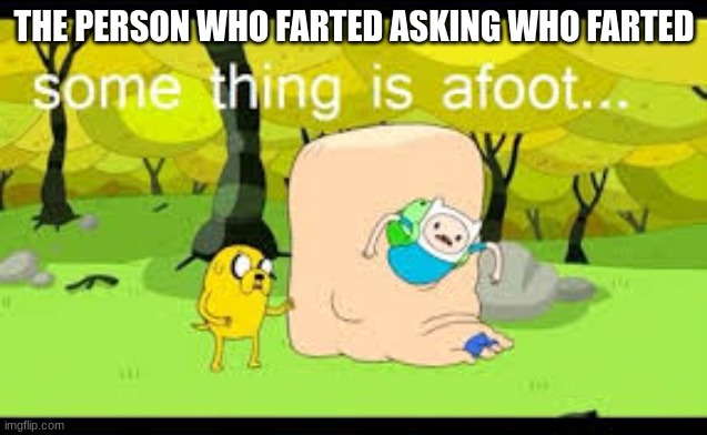 a cool title | THE PERSON WHO FARTED ASKING WHO FARTED | image tagged in feet,fart | made w/ Imgflip meme maker