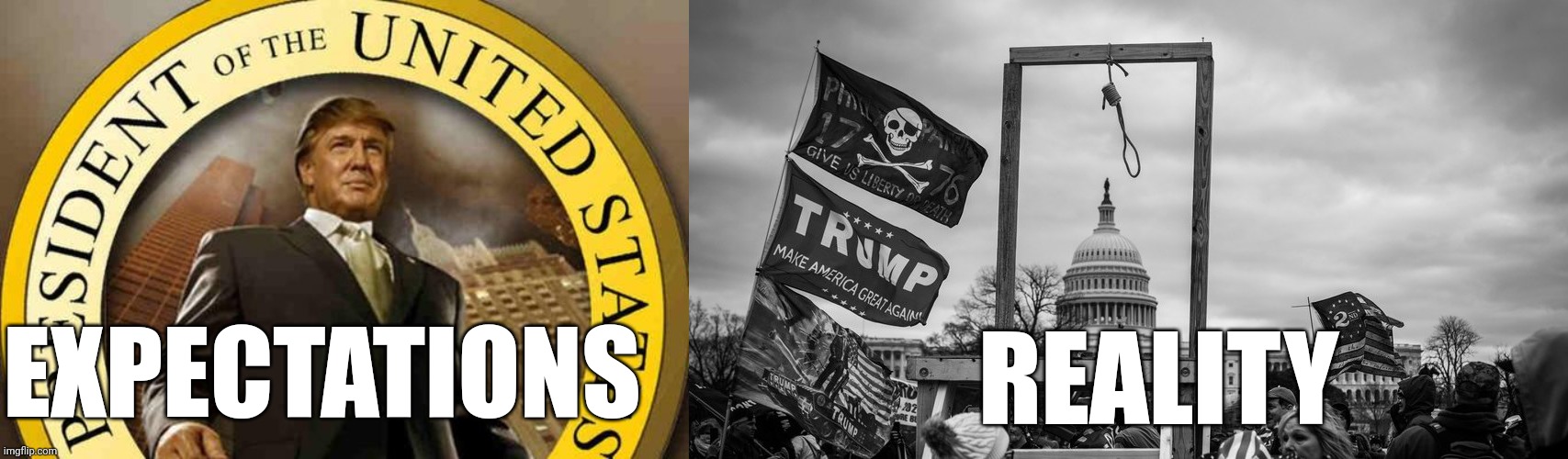 EXPECTATIONS; REALITY | image tagged in trump,capitol hill riot gallows | made w/ Imgflip meme maker