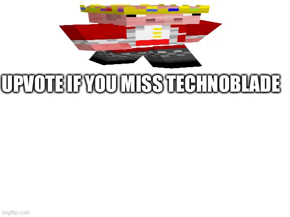 Lol ??? | UPVOTE IF YOU MISS TECHNOBLADE | image tagged in blank white template | made w/ Imgflip meme maker